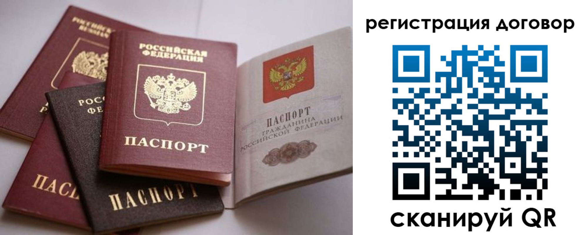 прописка в Камешково